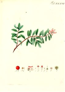 n592_w1150