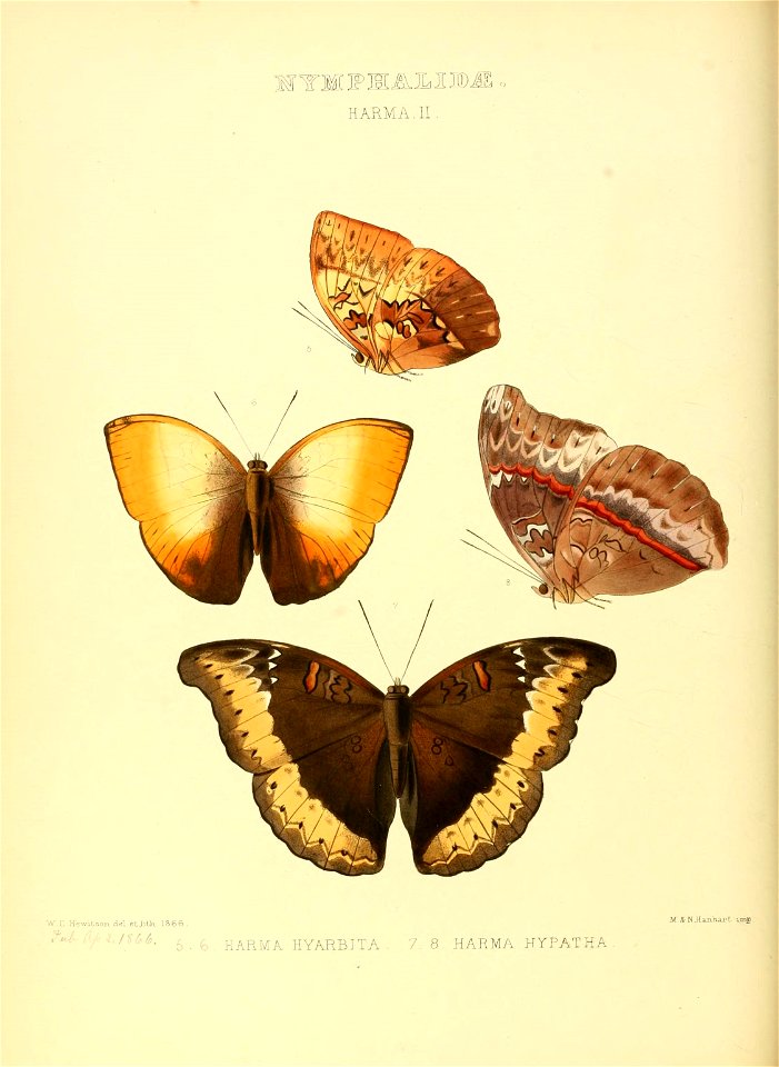 n123_w1150