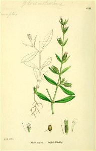 n153_w1150