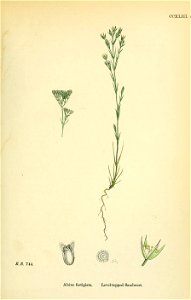 n290_w1150