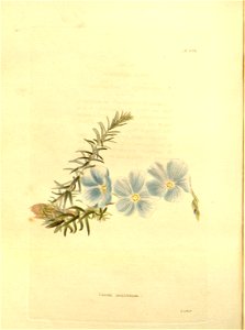 n153_w1150