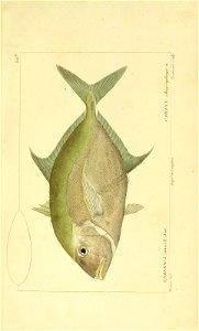 n218_w1150