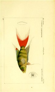 n122_w1150