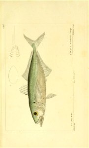 n216_w1150