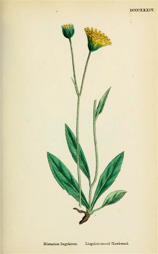 n564_w1150