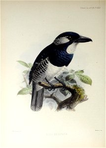 n179_w1150