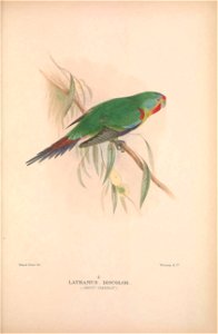 n586_w1150
