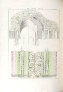 n63_w1150