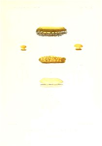 n384_w1150