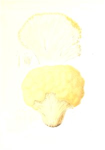 n354_w1150