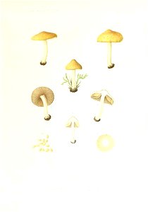 n264_w1150