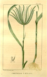 n168_w1150