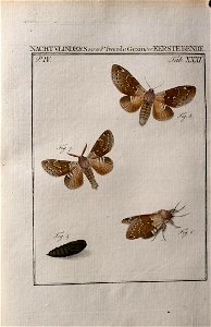 n191_w1150
