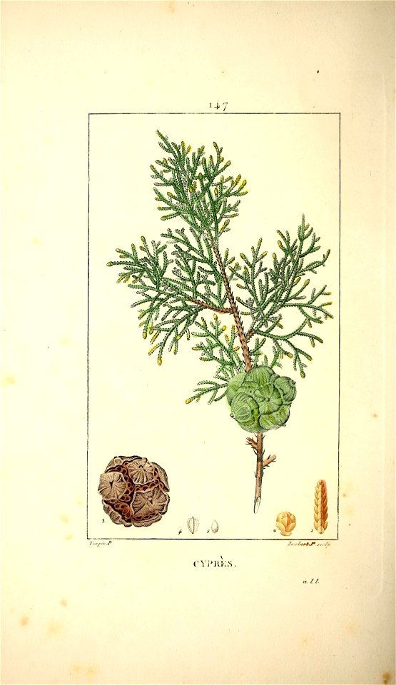 n205_w1150
