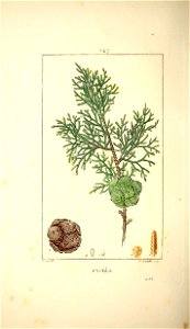 n205_w1150