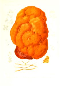 n350_w1150