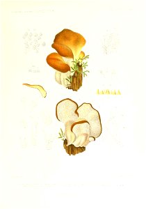 n378_w1150
