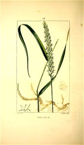 n17_w1150