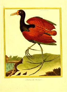 n50_w1150