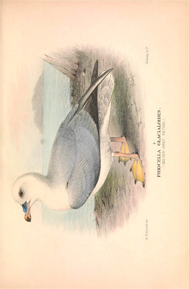 n174_w1150