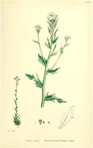 n528_w1150