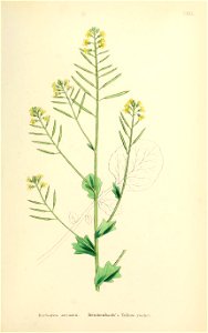n498_w1150