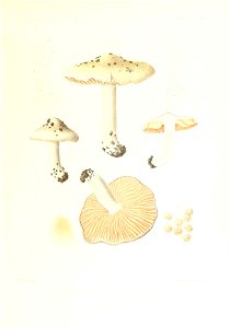 n204_w1150