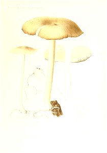 n144_w1150