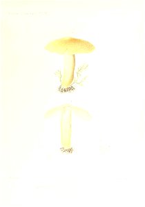 n84_w1150