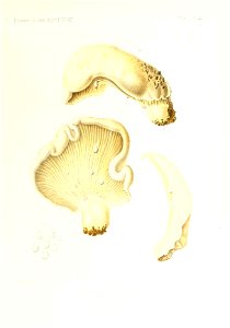n114_w1150