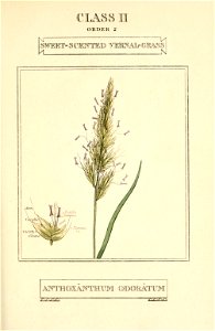 n54_w1150