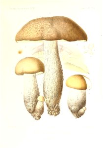 n322_w1150