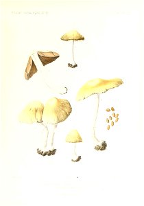 n292_w1150