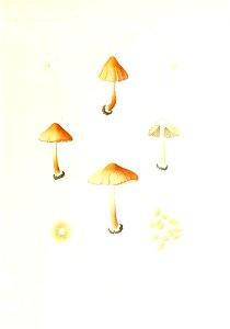 n262_w1150