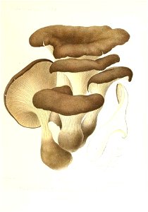 n172_w1150