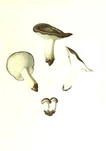 n142_w1150