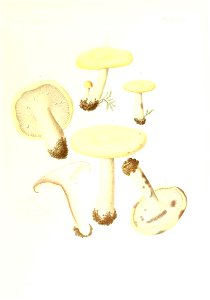 n112_w1150