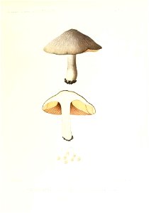 n202_w1150