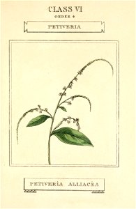 n176_w1150