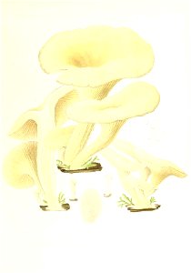 n170_w1150