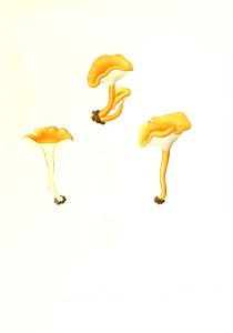 n140_w1150