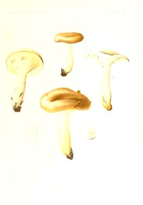 n110_w1150