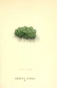 n50_w1150