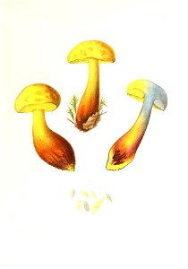 n318_w1150