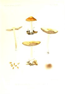 n288_w1150