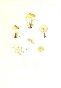 n258_w1150