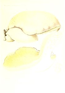 n168_w1150