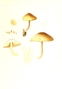 n198_w1150