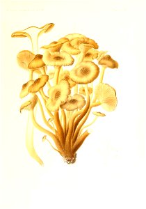n138_w1150