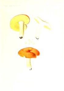 n108_w1150